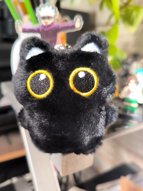Gatito Peluche